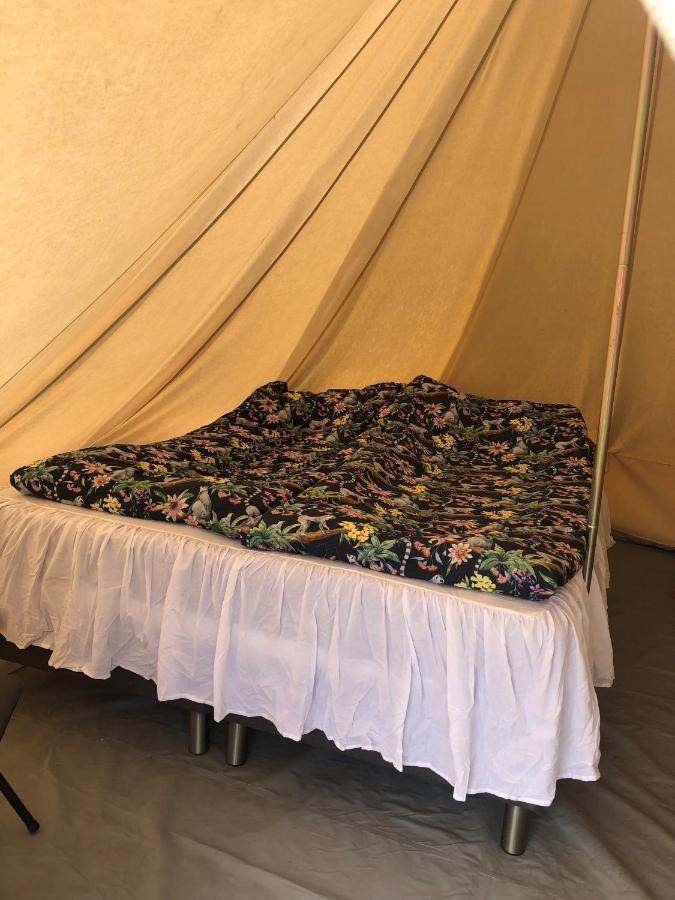 ホテル Glampingtaelt トーシュビュー エクステリア 写真